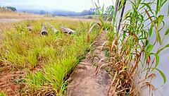 Can you suck me off in this abandoned building right now?