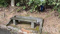 Essa Milf Safada Begs for Anal Fetish Fuck in Forest Park Full Video!