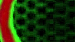 Christine Sapphire Takes Monster Cock in Gaping Doggystyle Ride!