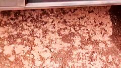 Hey stepson Vagninho, want this outdoor surprise? Cum in my ass until it overflows!