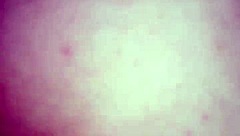 Tinder App for Amateur Dating Connections and Matches with Local Singles