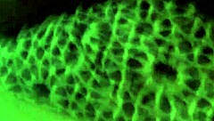 Fuckin This 21 Yr Old Bent Over Doggystyle in the Ghetto