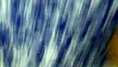 This beautiful Latina chick was squirting like crazy during her solo session.