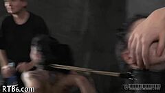 b of babes bottom offers a simple view of a babe's lower area