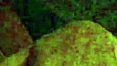 Woke up horny midnight 😈