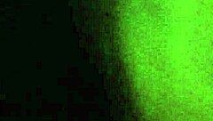 Bouncing on Big Cock Reverse Cowgirl