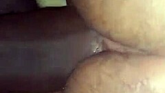 sussusexycaribe enjoys a wild night after the disco, with her tight wet pussy getting pounded by a lover