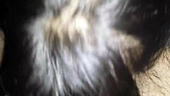 Serbian hooker gives epic car blowjob on the street