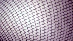 damn my morena's lips wrapped tight on this cock 😍💦