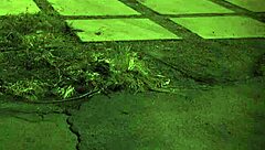 Hairy teen babe bound for first feet fetish domination fuck