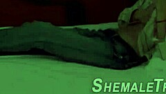 WOW! Hung Shemale Jizzes Face—You Won't Believe the Load!