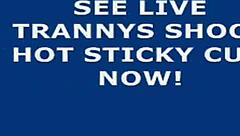 Ladyboy unleashes massive cumshot in explosive display