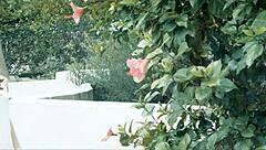 jenna j ross pinches nipples hard while fingering shaved pussy to orgasm