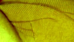 Latina licks pussy and clit in hot cunilingus.