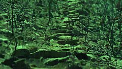 mistress april dominates bound latex slave with electro bdsm fucking and licking