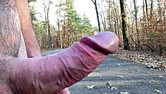 clitlicker662 flashes and orgasms outdoors in forest update 21 img 1257