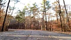 clitlicker662 flashes and orgasms outdoors in forest update 21 img 1257