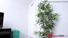 stepbro secretly drills dolly leigh plump ass sistercums