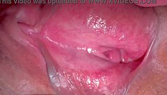 amateur teen's pink shaved pussy 244 days post virginity loss