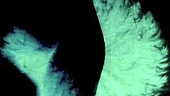 MY SECRET LIFE Vintage Lesbians Expose Hairy Beavers