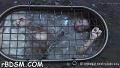 i own this brunette slave's fuck holes with my hardcore toys and bdsm toys