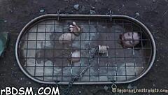 i own this brunette slave's fuck holes with my hardcore toys and bdsm toys