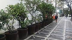 paty bumbum fucked by el toro in shop bathroom