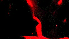 Renatinha Mello hooks up stranger swing cabin orgy part 2