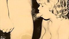 uncover top twenty secret vintage amateur hairy beaver adventures