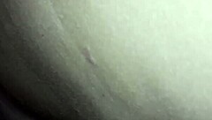 Hey, you see this naughty neighbor?