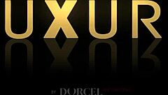 Can you handle these small tits lesbians in stockings fingering swingers initiation orgy!?