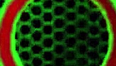 julia ann in steamiest lingerie... wanna watch her tease that wet curvy milf pussy?