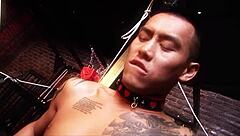 BDSM Cougar Milf And Fuck Doll Go Wild In Bisexual Lesbian Fetish Fucking Session