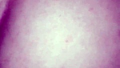 amor you're cumming so hard on my dick cum inside me you naughty one