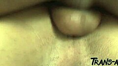 real homemade shemale latina bareback anal with big tits