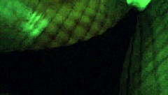 homemade brunette takes massive cock deep in ass pov with tattoos and dirty talk