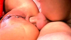 Trina Michaels unwraps her huge tits and bends over in fishnets for Christmas doggystyle pounding.