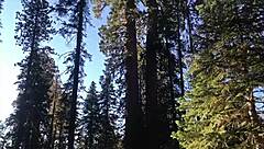 we're fucking hard right on the sequoias trail with huge tits bouncing