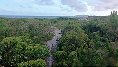 Drone catches hot latina crossdresser couple fucking wild 😲🔥