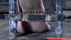 sub, cane then dildo fuck me hard!