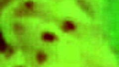 Big Ass Lesbians Fuck After Bedroom Kisses