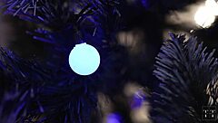 caught girl and friend fucking lesbian before christmas, so hot?