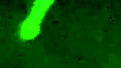 Hey alineflavio what's this close-up creampie orgasm look like up close?