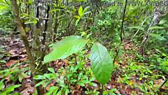 skinny thai babe bent over fucked doggystyle creampie in forest before mushroom hunt