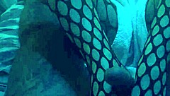 sexy nylon footjob with leggings tease