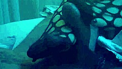 sexy nylon footjob with leggings tease