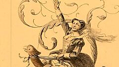 Vintage Hairy Pussy in Retro Erotic Display