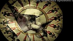 check out these vintage erotic drawings from the past