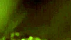 Ever tried exotic indian ebony blowjobs and facials with your brunette lover?