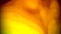 que rico me dan verga y me chupan la panocha 😍 me encanta que me mamen el culo 👅💦